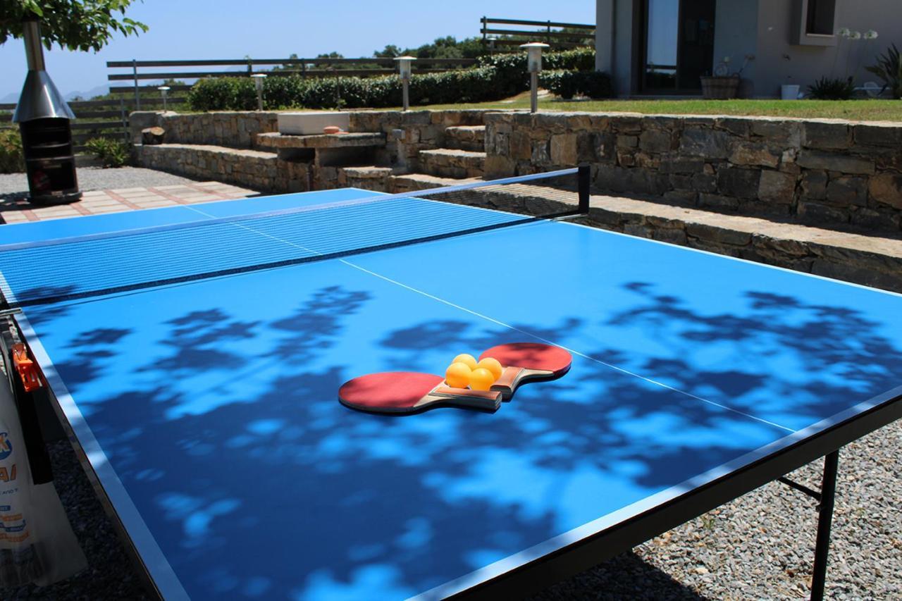 Amnátos Arion Krini Villa מראה חיצוני תמונה