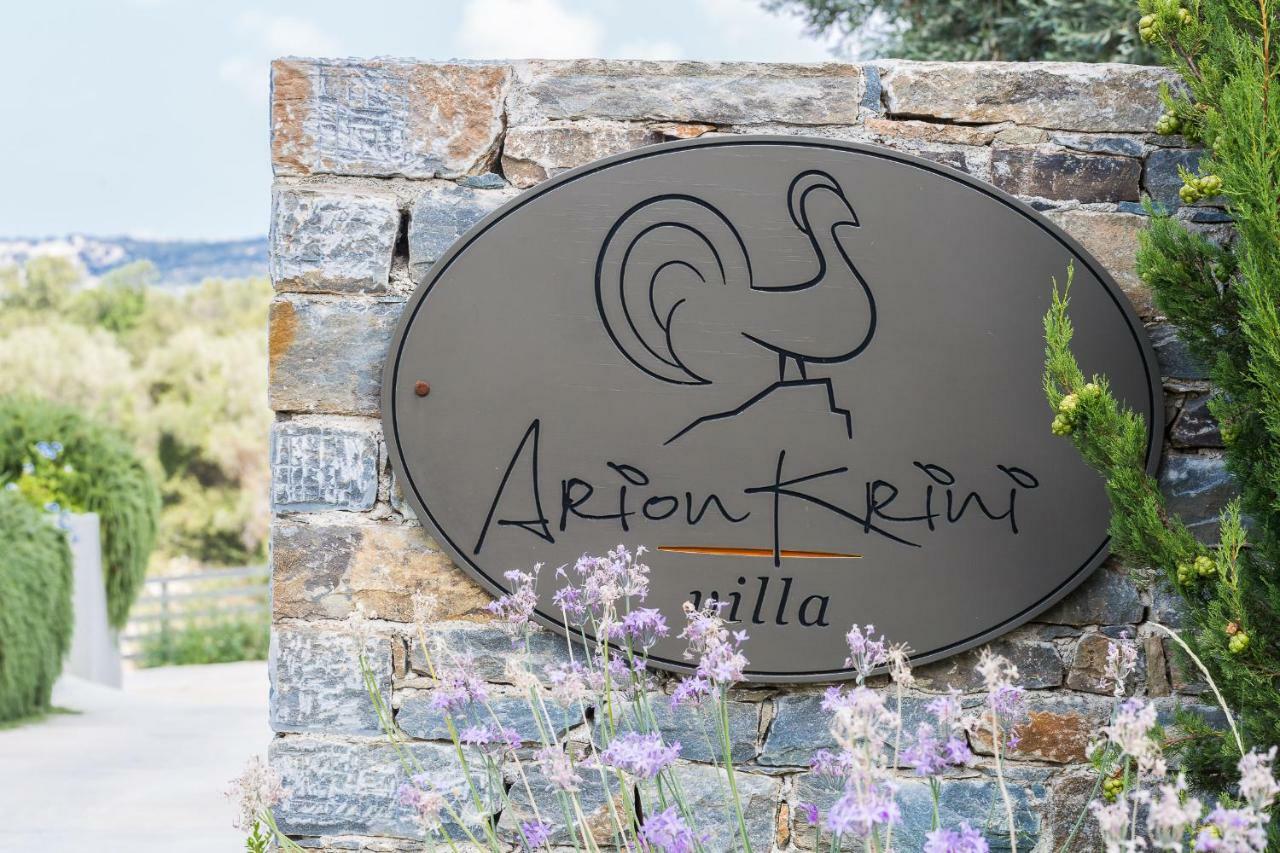 Amnátos Arion Krini Villa מראה חיצוני תמונה
