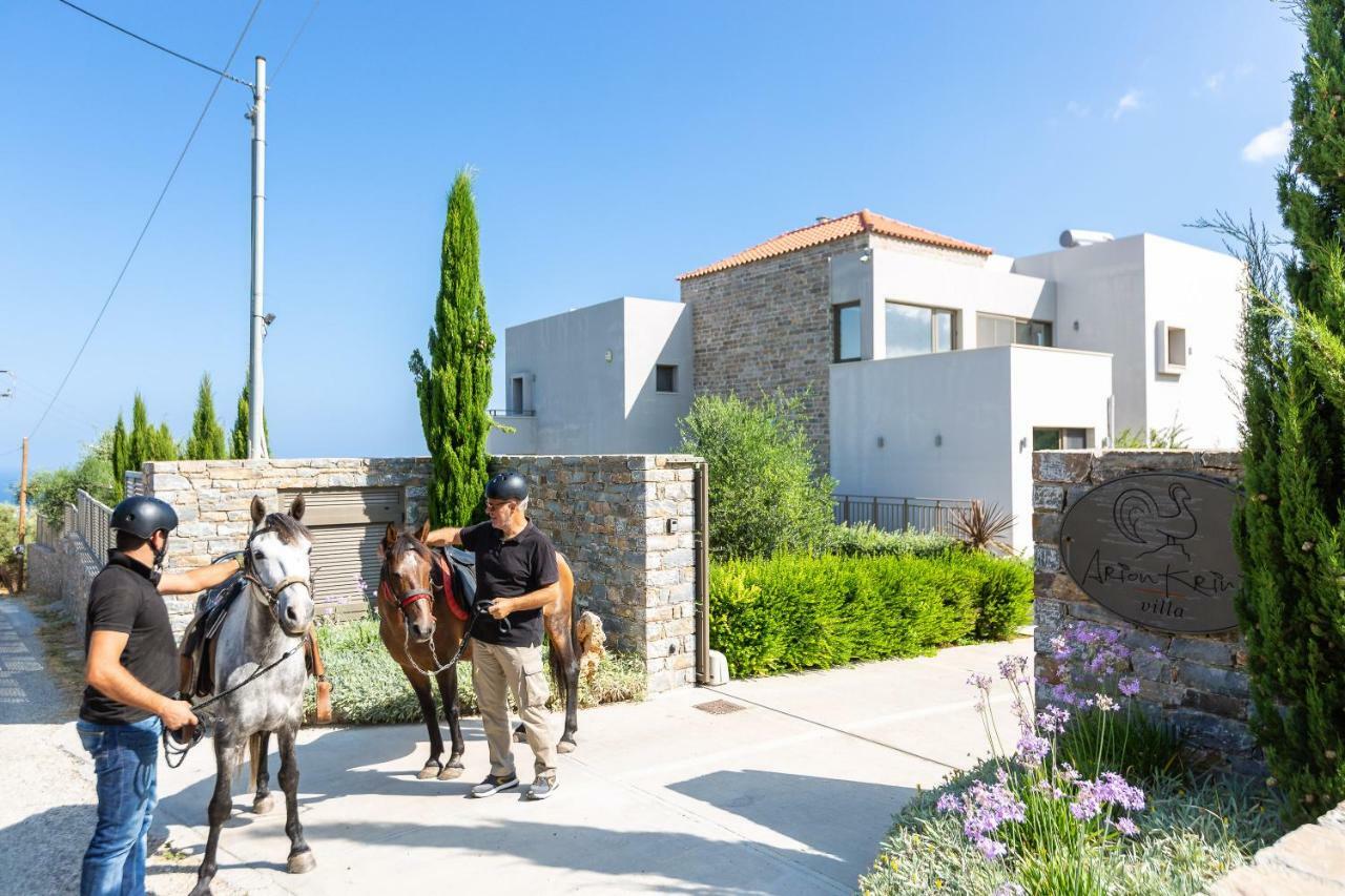 Amnátos Arion Krini Villa מראה חיצוני תמונה
